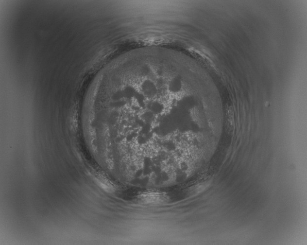 X0000074030499200609061145