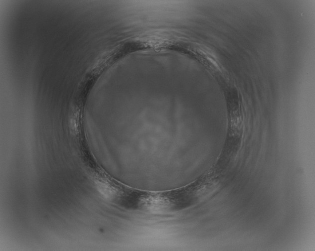 X0000074030503200609061145