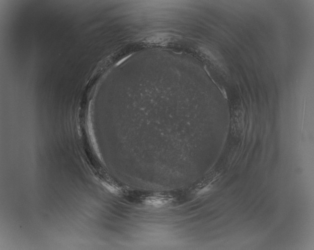 X0000074030504200609061145