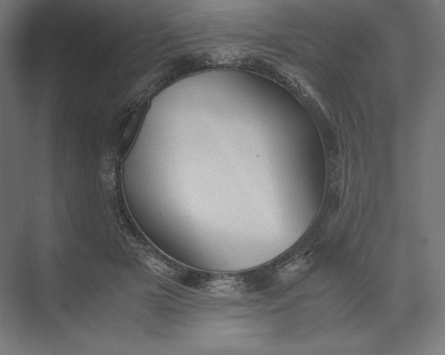 X0000074030505200609061145