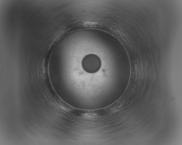 X0000074030508200609061145