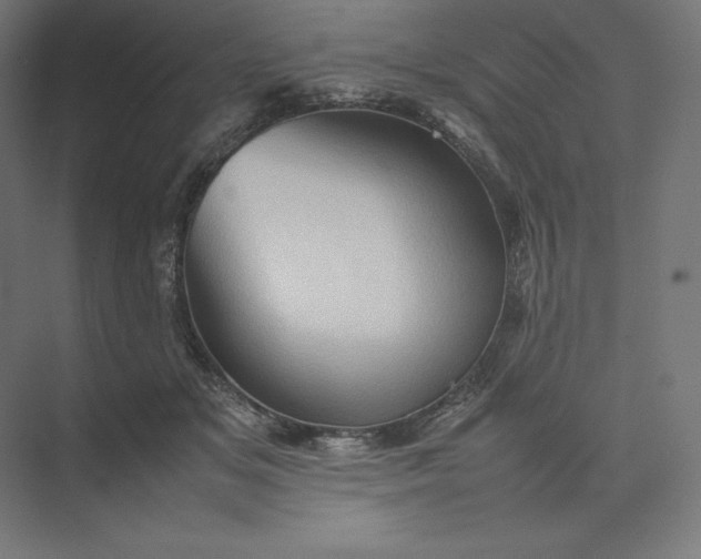 X0000074030509200609061145