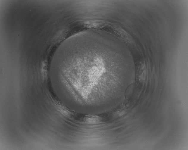 X0000074030510200609061145