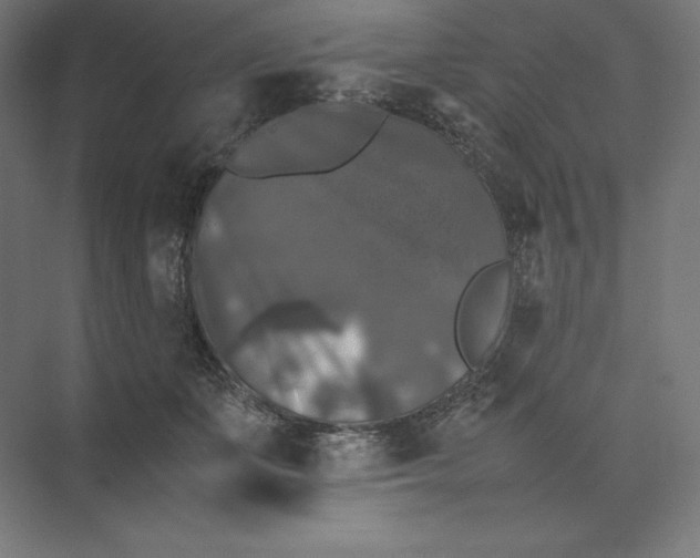 X0000074030511200609061145