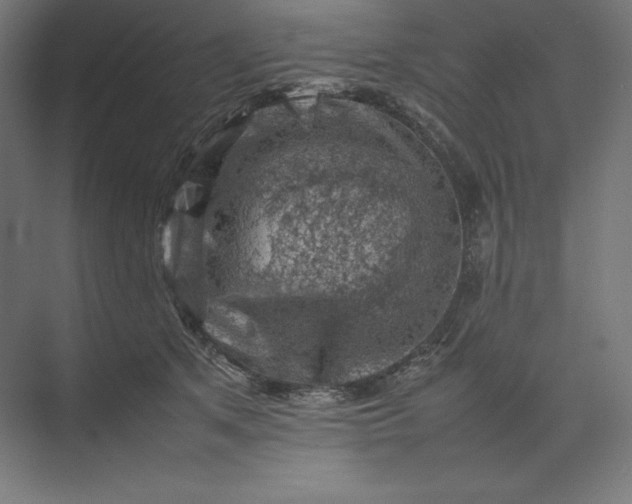 X0000074030513200609061145