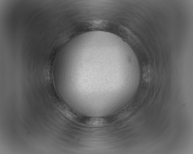 X0000074030514200609061145