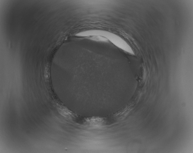 X0000074030517200609061145