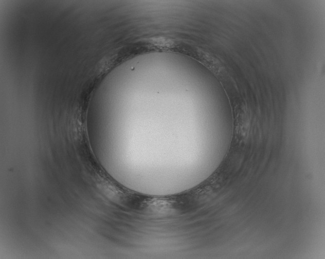 X0000074030518200609061145