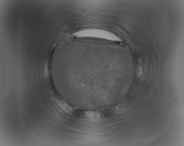 X0000074030520200609061145