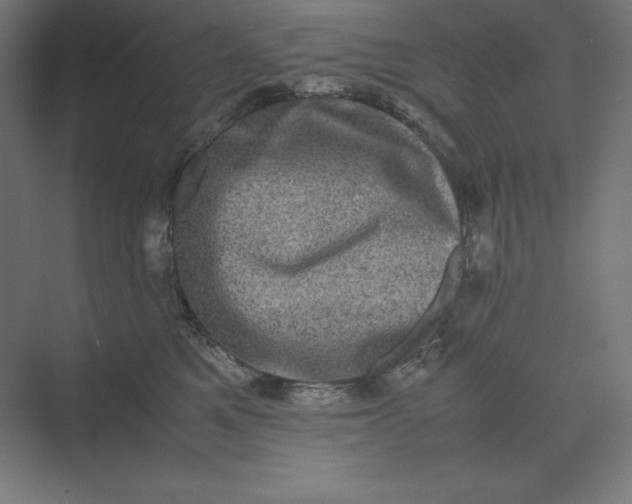 X0000074030521200609061145