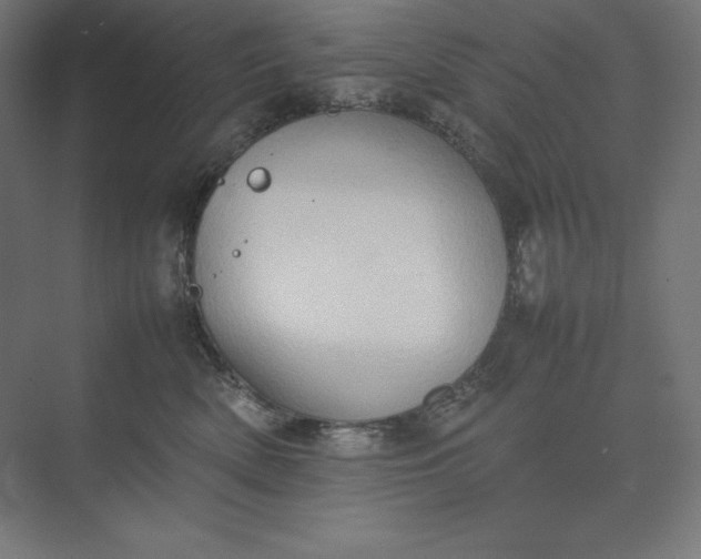 X0000074030522200609061145