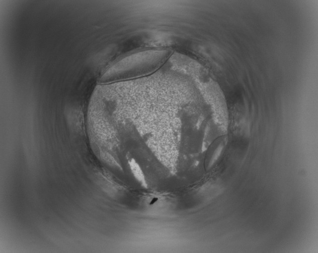 X0000074030523200609061145