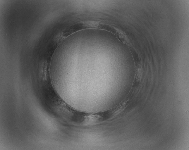 X0000074030525200609061145