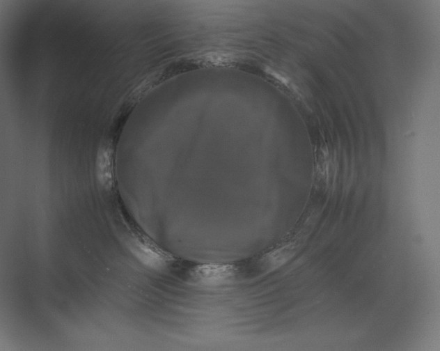 X0000074030526200609061145