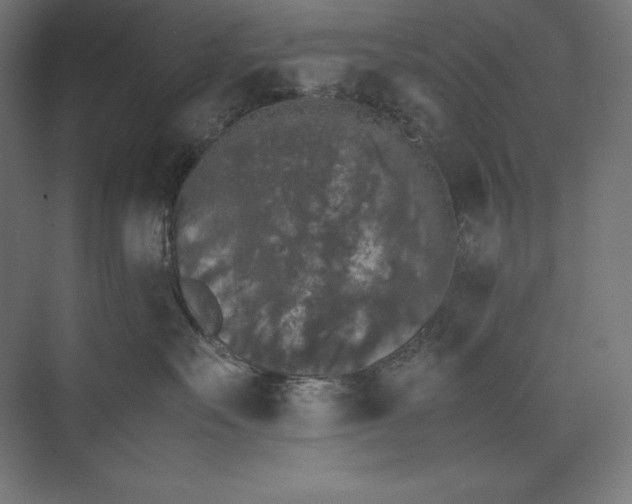 X0000074030527200609061145