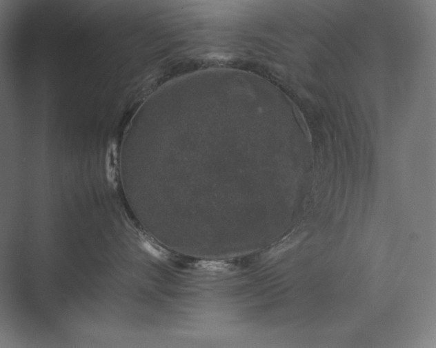 X0000074030528200609061145