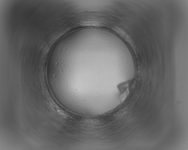 X0000074030529200609061144