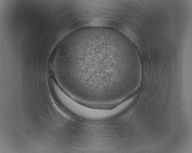 X0000074030530200609061144