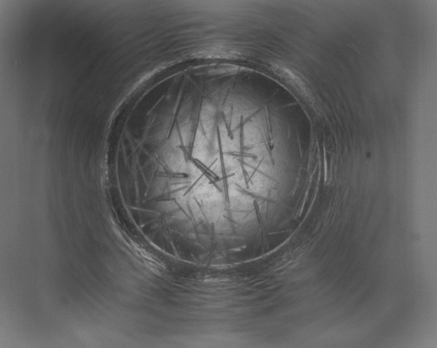 X0000074030531200609061144