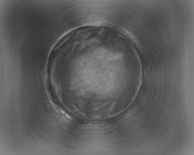 X0000074030532200609061144