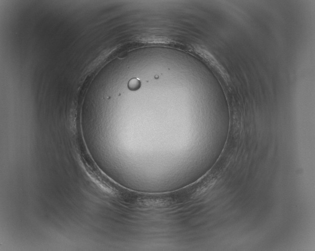 X0000074030533200609061144