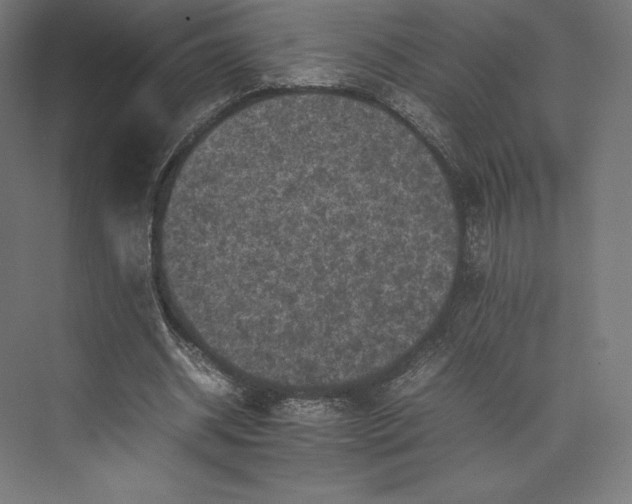 X0000074030534200609061144