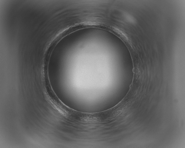 X0000074030535200609061144