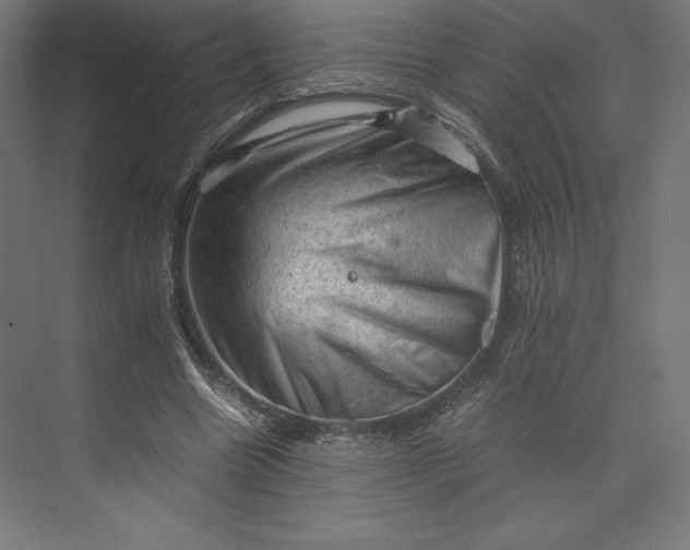 X0000074030538200609061144