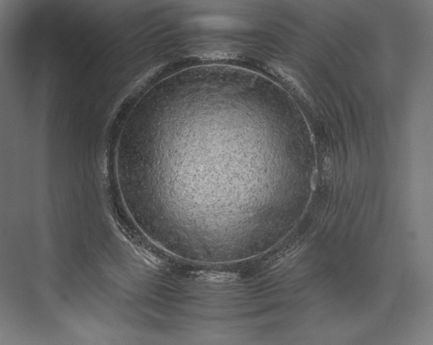 X0000074030539200609061144