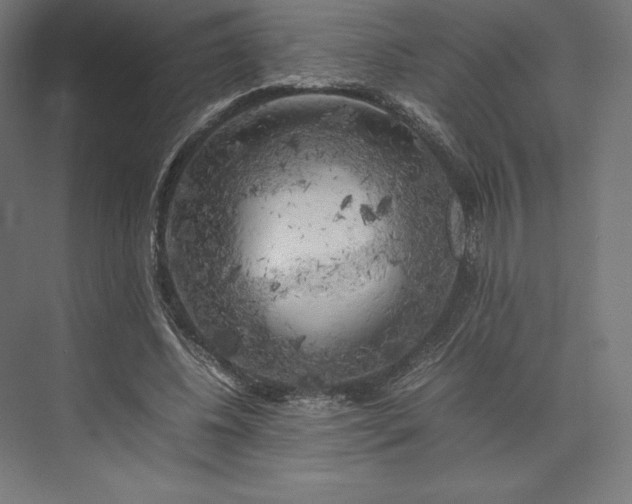 X0000074030540200609061144