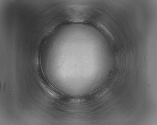 X0000074030541200609061144