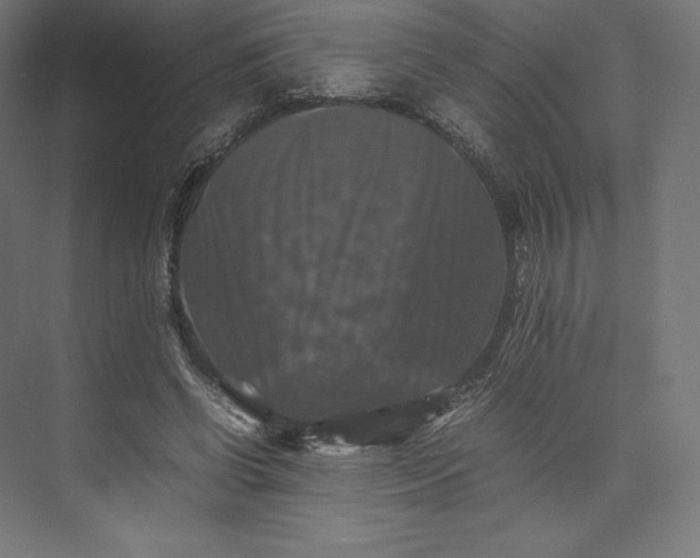 X0000074030542200609061144