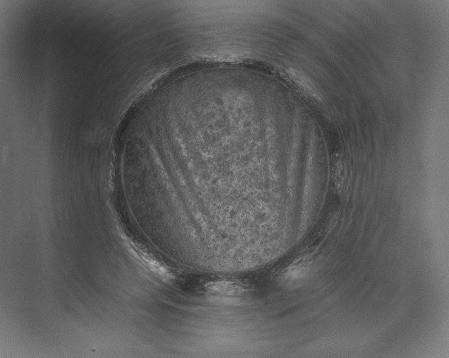 X0000074030544200609061144