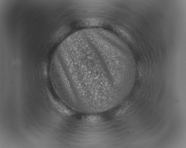 X0000074030546200609061144