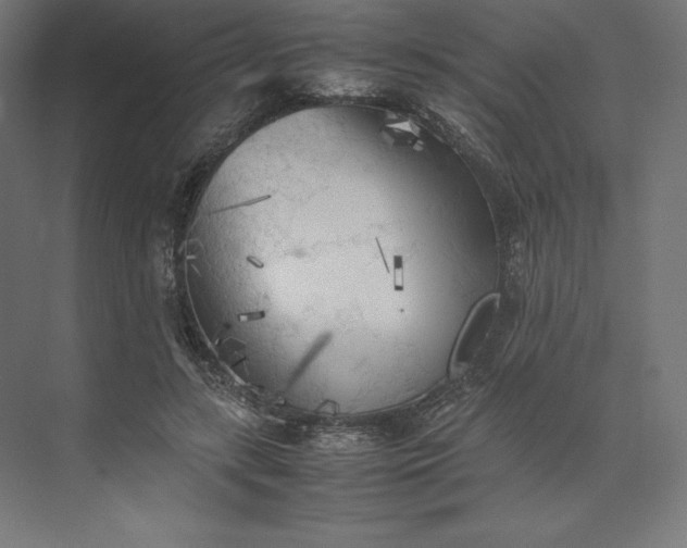 X0000074030547200609061144