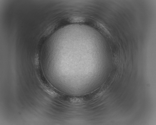 X0000074030549200609061144