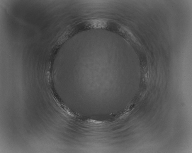 X0000074030553200609061144