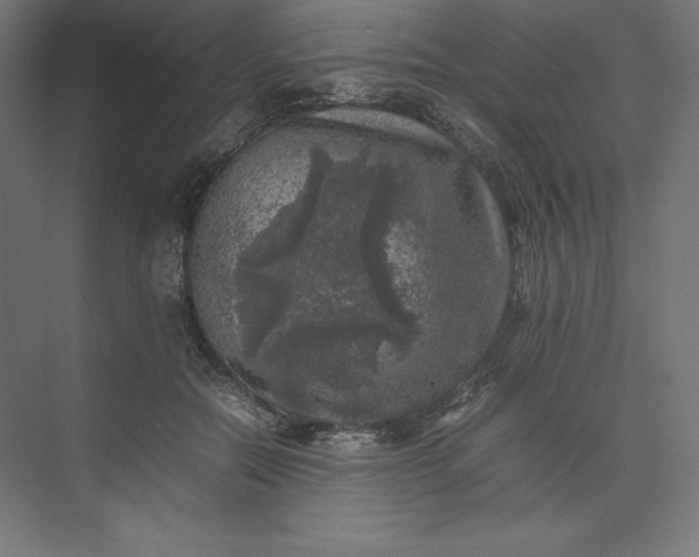 X0000074030554200609061144