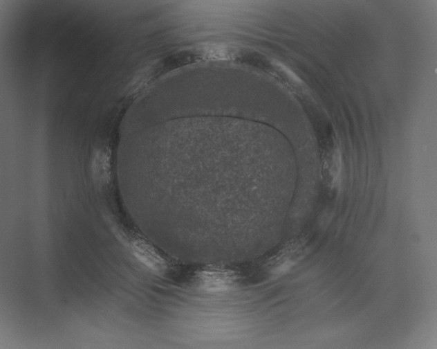 X0000074030556200609061144