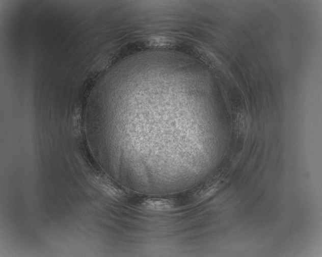 X0000074030557200609061144