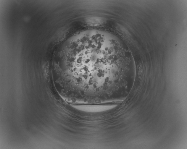 X0000074030559200609061144