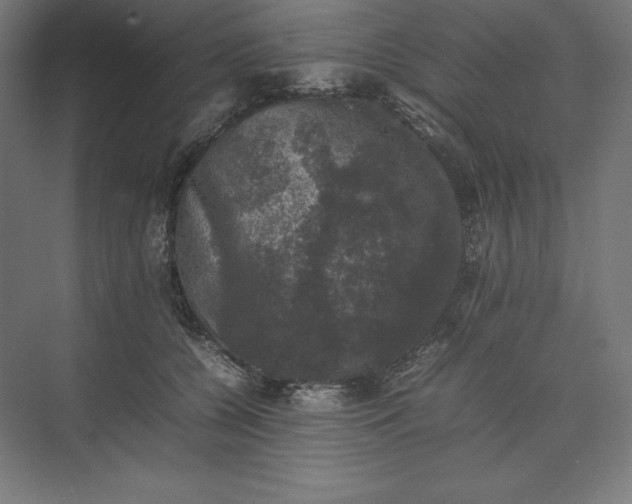 X0000074030560200609061144