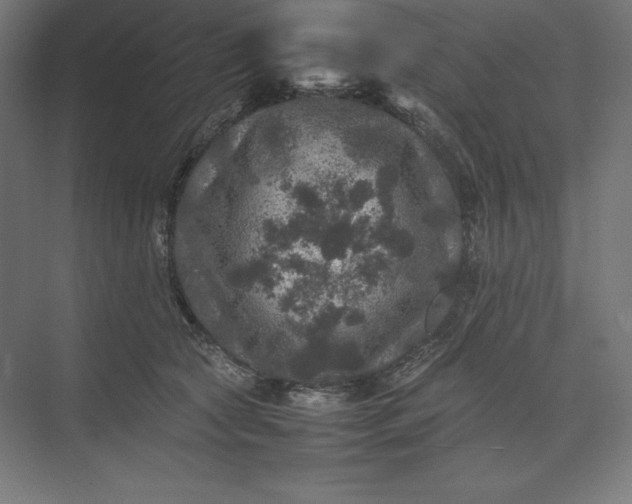 X0000074030561200609061144