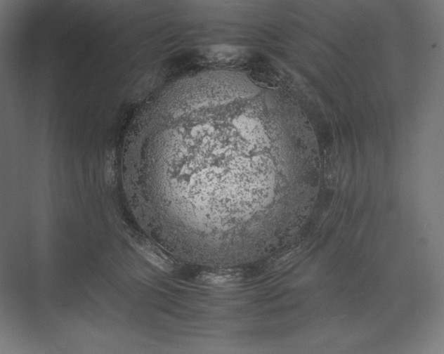 X0000074030563200609061144