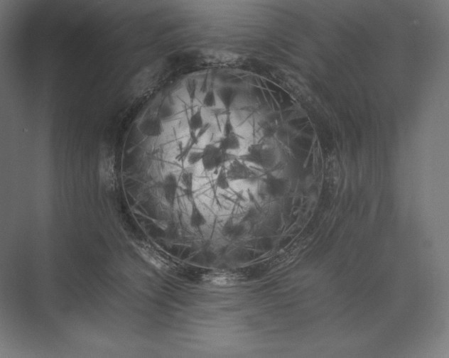 X0000074030564200609061144