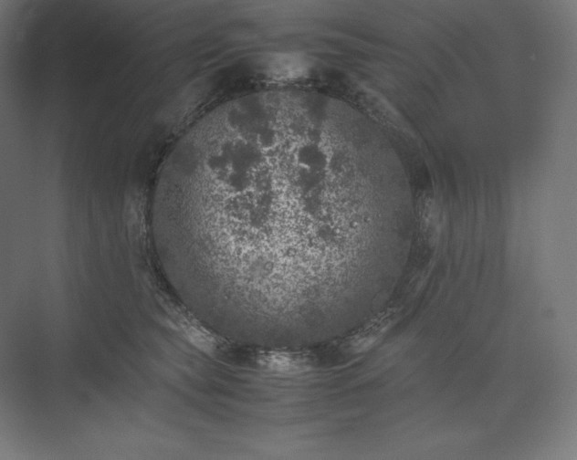 X0000074030565200609061144