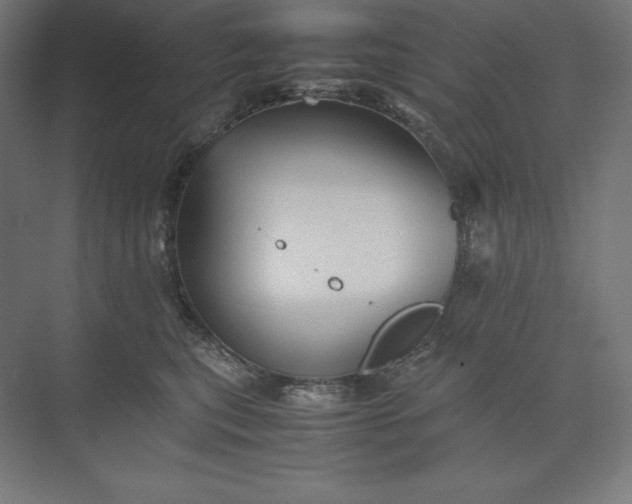 X0000074030567200609061145