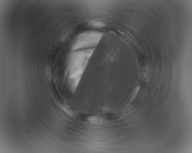 X0000074030568200609061145