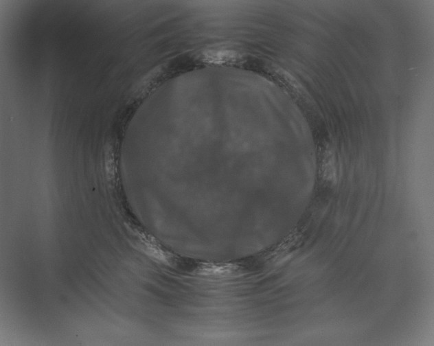 X0000074030569200609061145