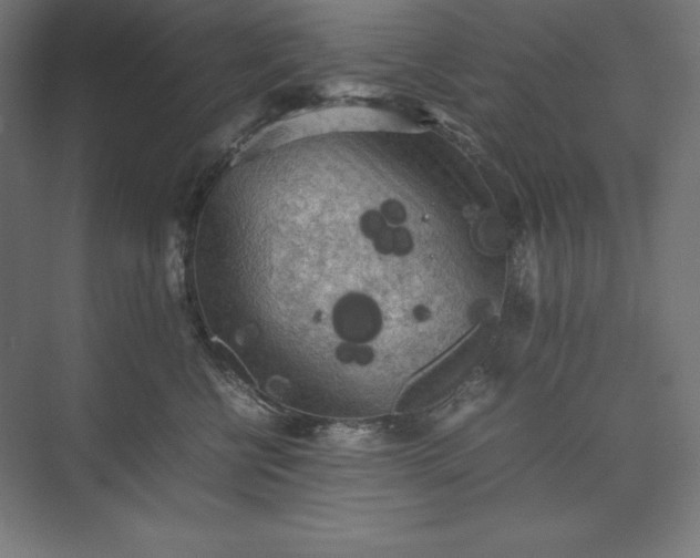 X0000074030570200609061145